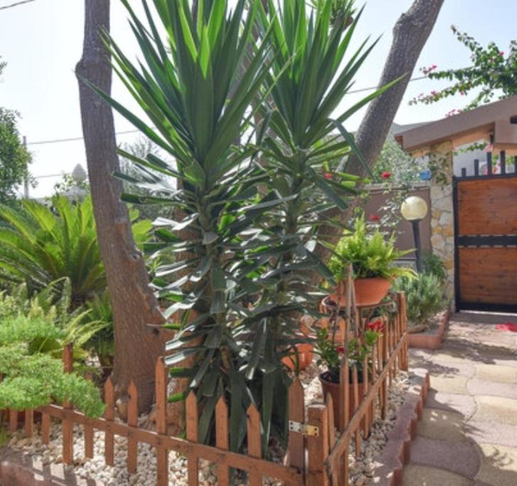 Casa Di Alice A 250 Metri Dal Mare Villa Noto Exterior foto