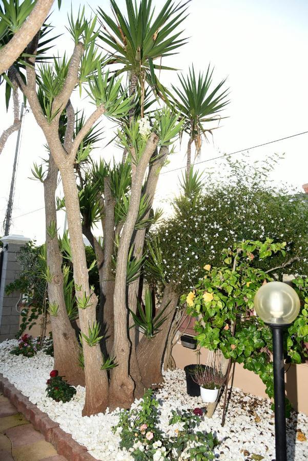 Casa Di Alice A 250 Metri Dal Mare Villa Noto Exterior foto